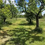 別荘 Auszeit Im Seenland *