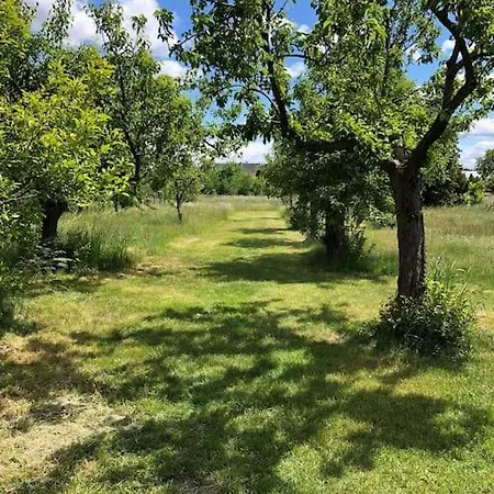 펜션 Auszeit Im Seenland *