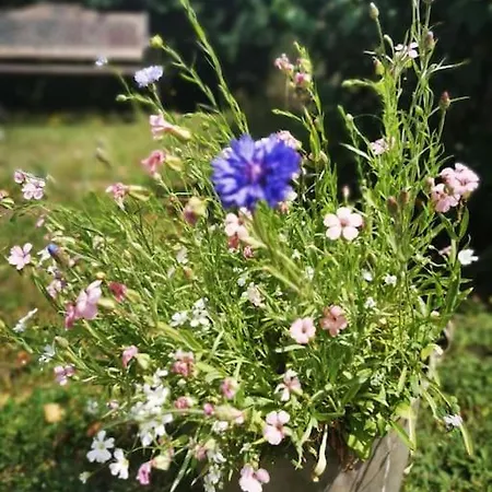 Auszeit Im Seenland *