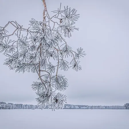 Auszeit Im Seenland Hohenbocka