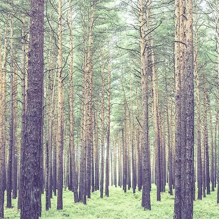 Auszeit Im Seenland * Hohenbocka