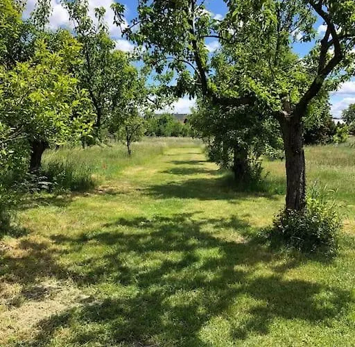 別荘 Auszeit Im Seenland *