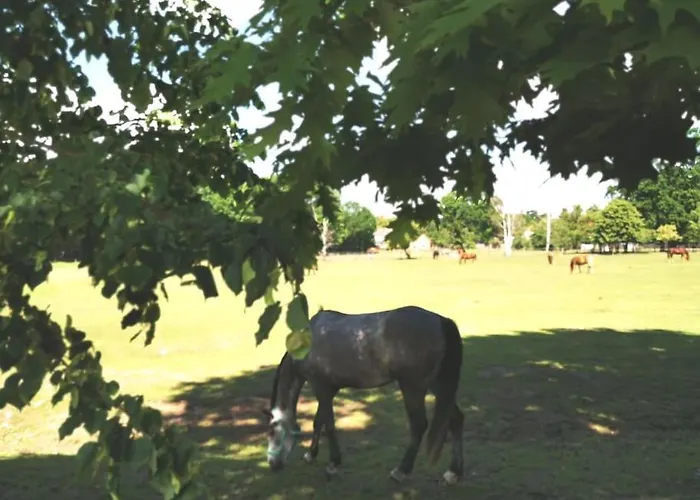 別荘 Auszeit Im Seenland