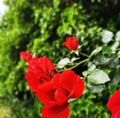 Auszeit Im Seenland *