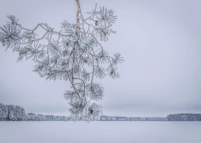 Auszeit Im Seenland Hohenbocka