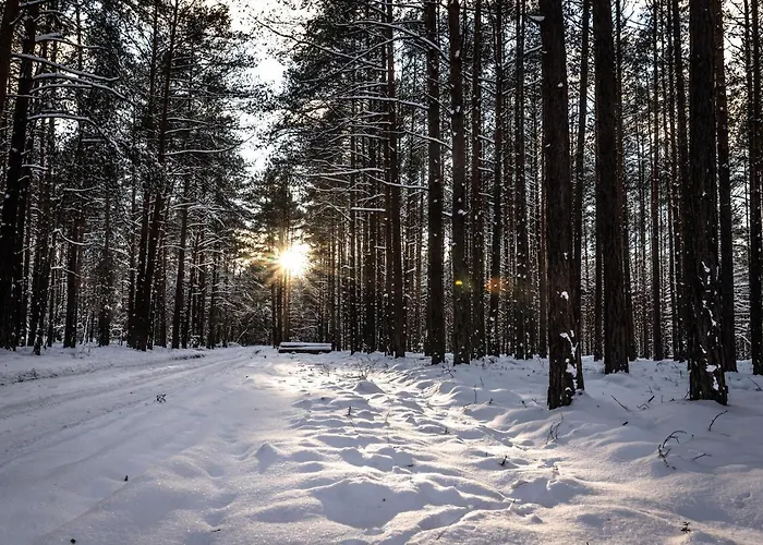 別荘 Auszeit Im Seenland *