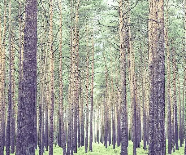 Auszeit Im Seenland * Hohenbocka